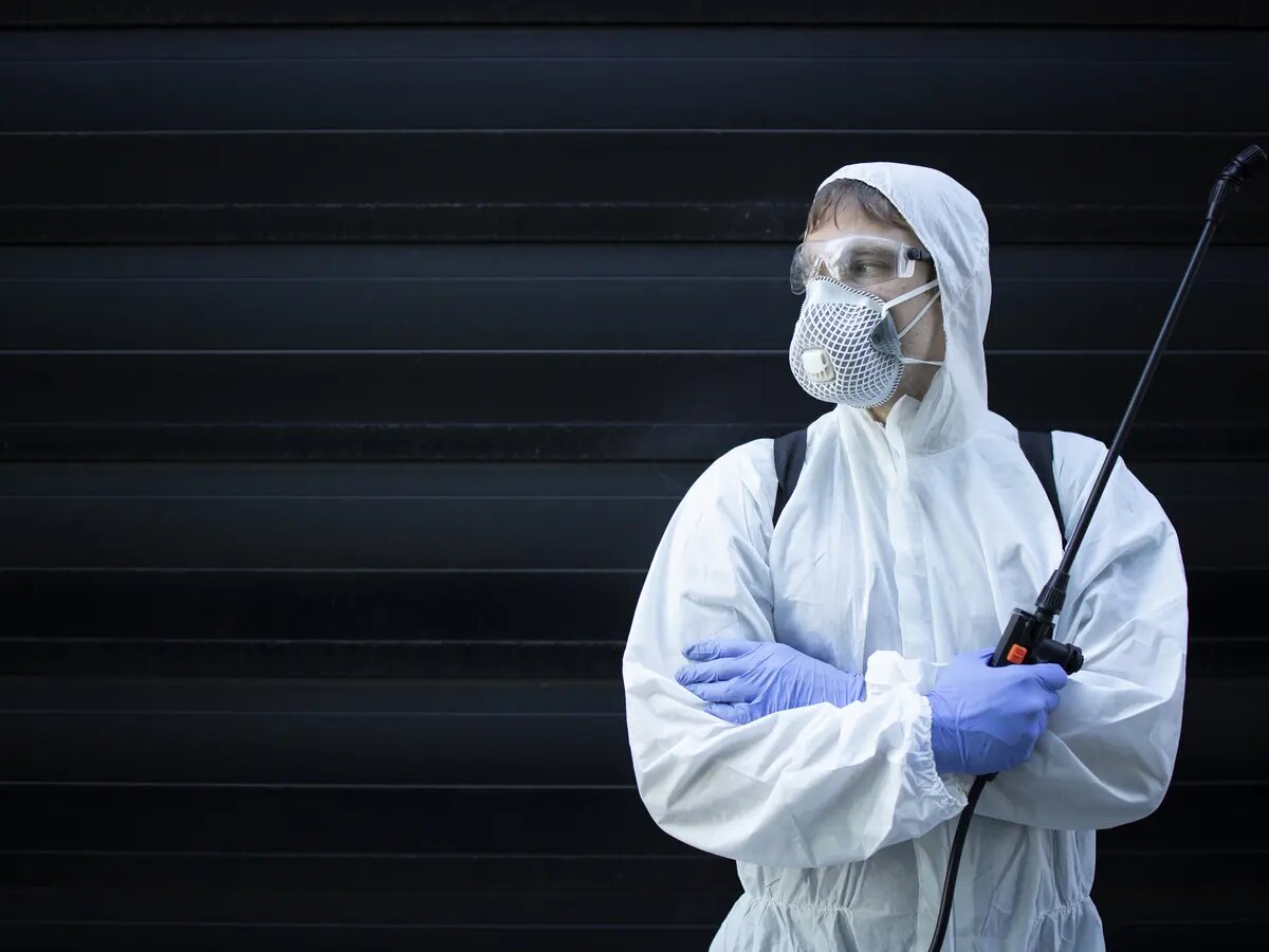 Pest Control Treatment